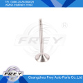 W201W123 W124 W460 for Exhaust Valve OEM No. 1020500327